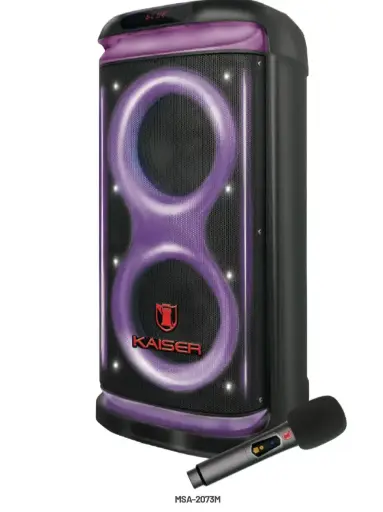 Bafle recargable 2 x 8” de 28,000W MSA-2073M