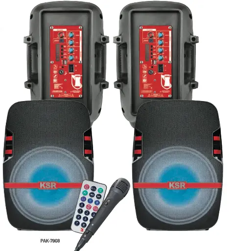 Sistema de audio doble recargable 8” 6,200 W PMPO c/u con micrófono alámbrico